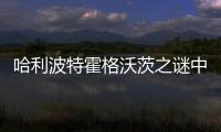 哈利波特霍格沃茨之谜中文