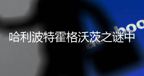 哈利波特霍格沃茨之谜中文下载