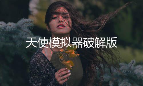 天使模拟器破解版下载