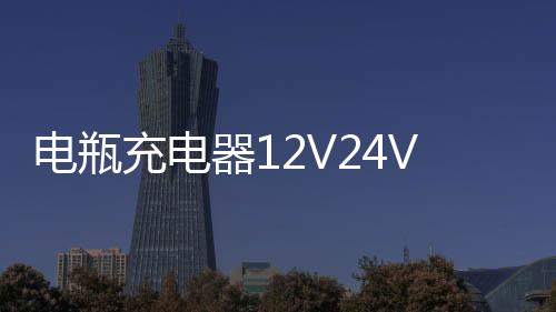 电瓶充电器12V24V智能脉冲哈弗起停EFB电池大功率自动汽车充电机下载