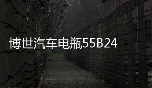 博世汽车电瓶55B24LS适用雅阁思铂睿思域CRV逍客骐达免维护蓄电池下载