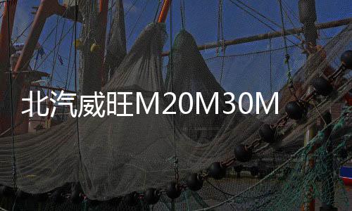 北汽威旺M20M30M35汽车前门后门同轴音响喇叭改装6.5寸套装重低音下载