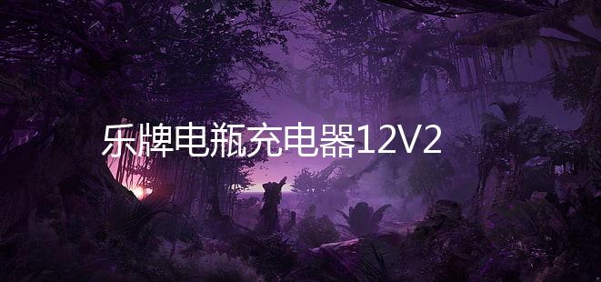 乐牌电瓶充电器12V24V伏纯铜多功能通用大功率摩托汽车电池充电机下载