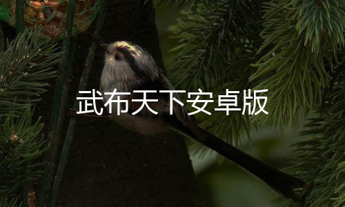 武布天下安卓版下载