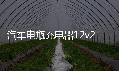 汽车电瓶充电器12v24v伏摩托车蓄电池修复型大功率启停电瓶充电机下载