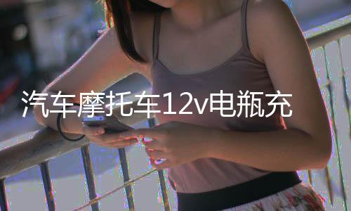 汽车摩托车12v电瓶充电器家用小轿车蓄电池地摊万能冲快速通用型下载