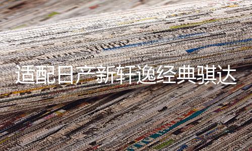 适配日产新轩逸经典骐达骊威启辰D50阳光逍客瓦尔塔蓄电池45A电瓶下载