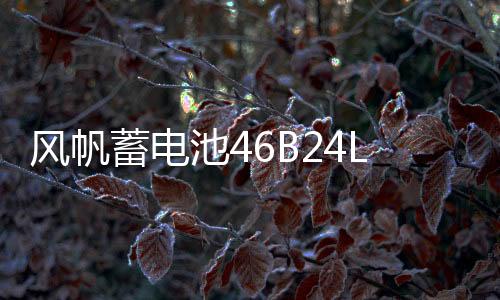 风帆蓄电池46B24L适用于威驰逍客骐达雅阁CRV思域12V45AH汽车电瓶下载