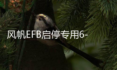 风帆EFB启停专用6-QW-70适英朗昂科拉朗逸迈腾汽车免维护电池电瓶下载