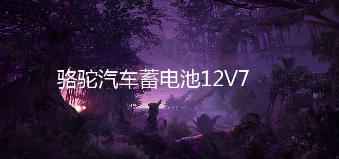 骆驼汽车蓄电池12V70AH适用马自达凯美瑞汉兰达皇冠锐志电瓶80D26下载